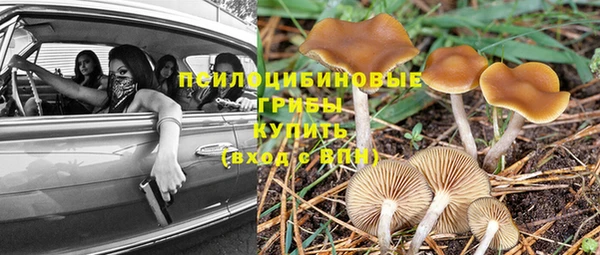 каннабис Абаза